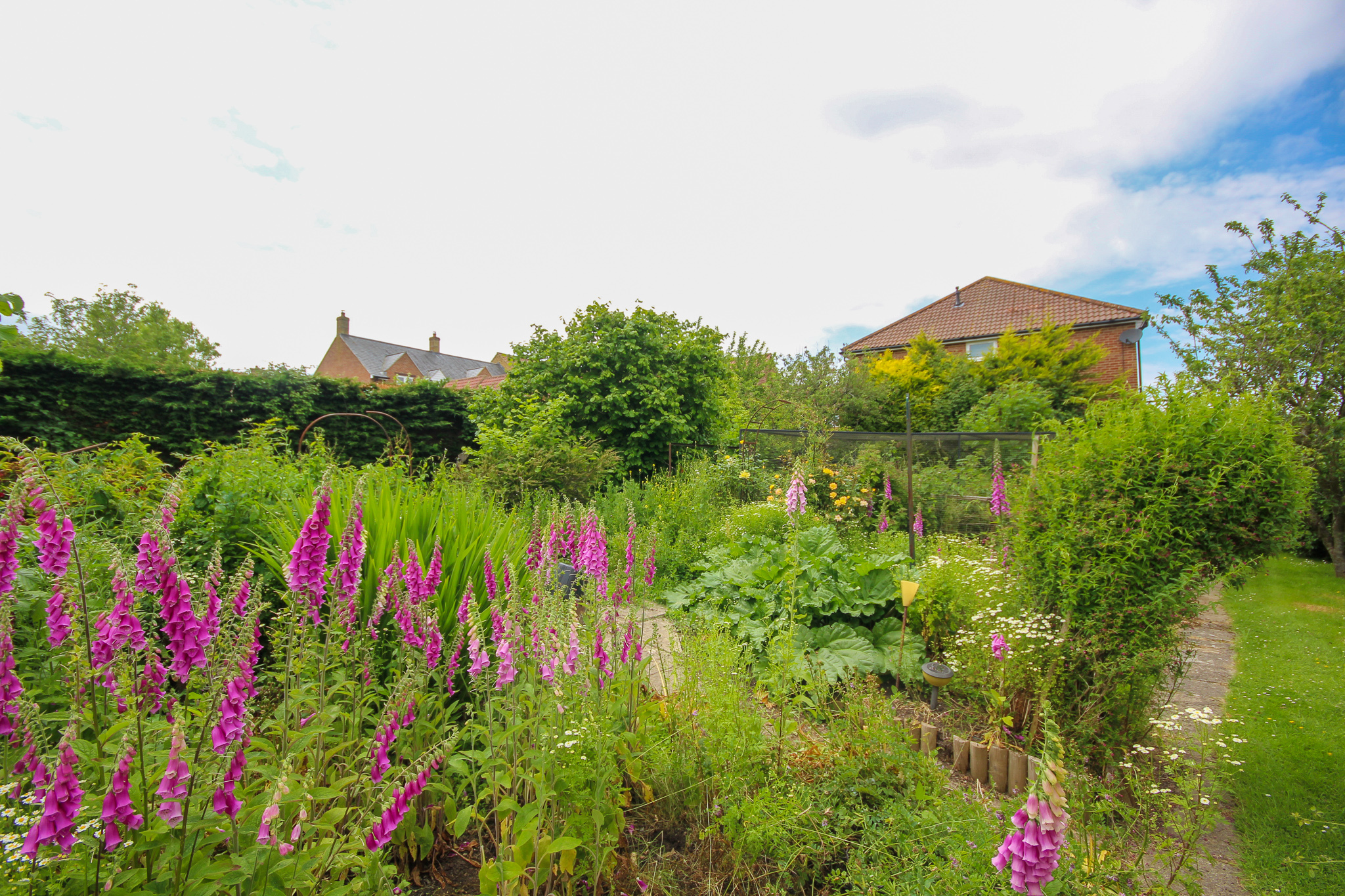 Primrose Lane, yeovil